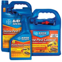 Fleas G O D Of Pest