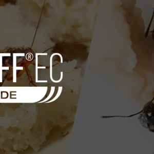 CYNOFF EC Insecticide | Cypermethrin | Mosquito, Cockroach and Housefly - 1 liter