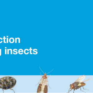 Perigen Defence 5EC | Permethrin | General Pest Control