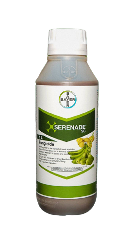 Serenade AS Bio Organic Fungicide - Bacillus amyloliquefaciens - 1 liter
