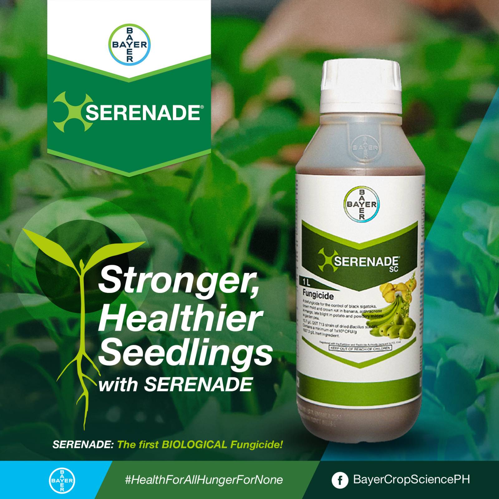 Serenade AS Bio Organic Fungicide - Bacillus amyloliquefaciens - 1 liter - Image 2